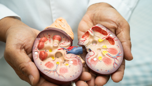 Clinical Trial Vanguard