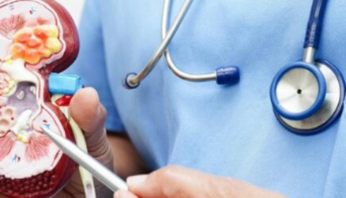 Top-Rated Urologist in Bangalore: Expert Care for Your Urological Health